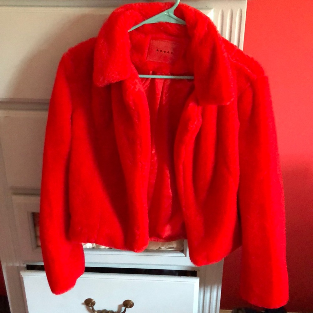 BlankNYC cropped faux fur jacket